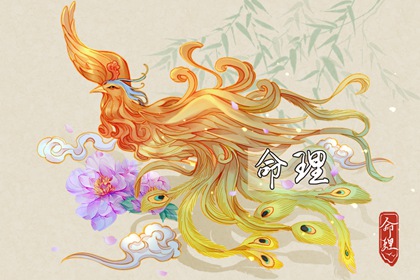 带农历与黄历的万年历,农历2025年老黄历,今日农历查询